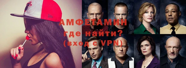 прущие грибы Балахна