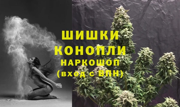 прущие грибы Балахна