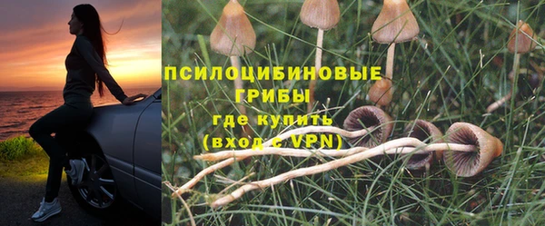 каннабис Аркадак