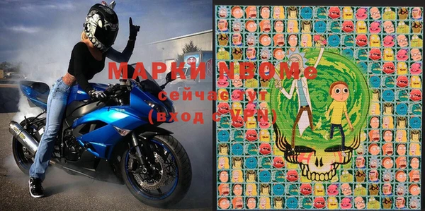 прущие грибы Балахна