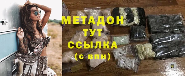 прущие грибы Балахна