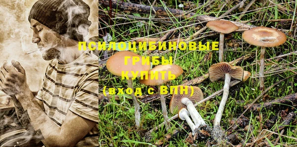 каннабис Аркадак