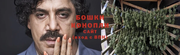 прущие грибы Балахна