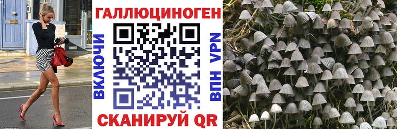 Псилоцибиновые грибы мухоморы omg ONION Мичуринск наркошоп